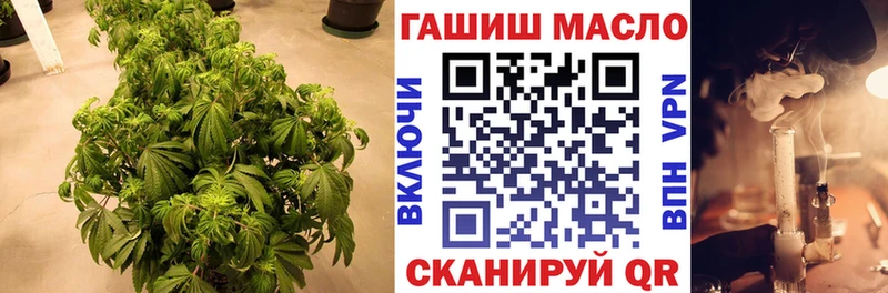 цена наркотик  Талица  ТГК THC oil 