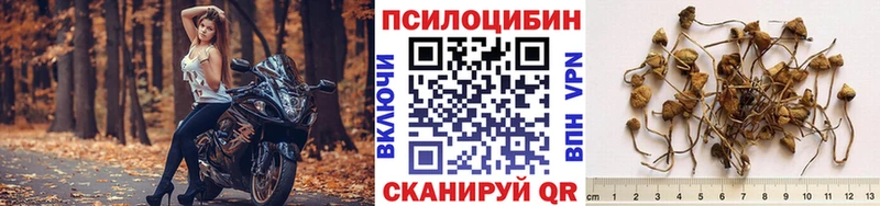 Псилоцибиновые грибы мухоморы  где продают   blacksprut ссылка  Талица 